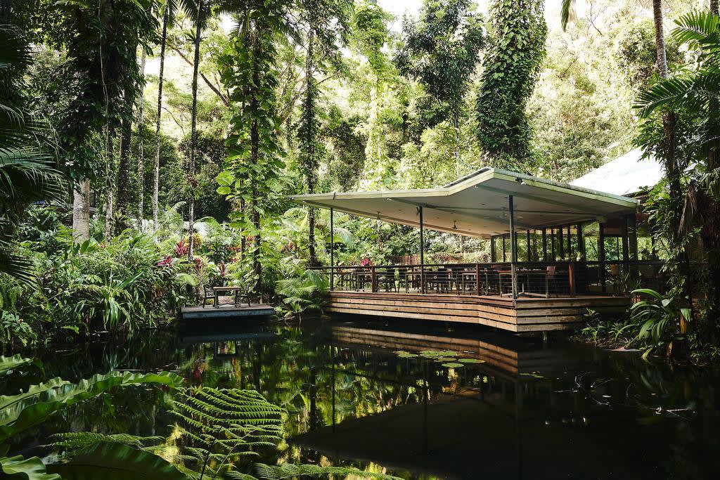 daintree ecolodge