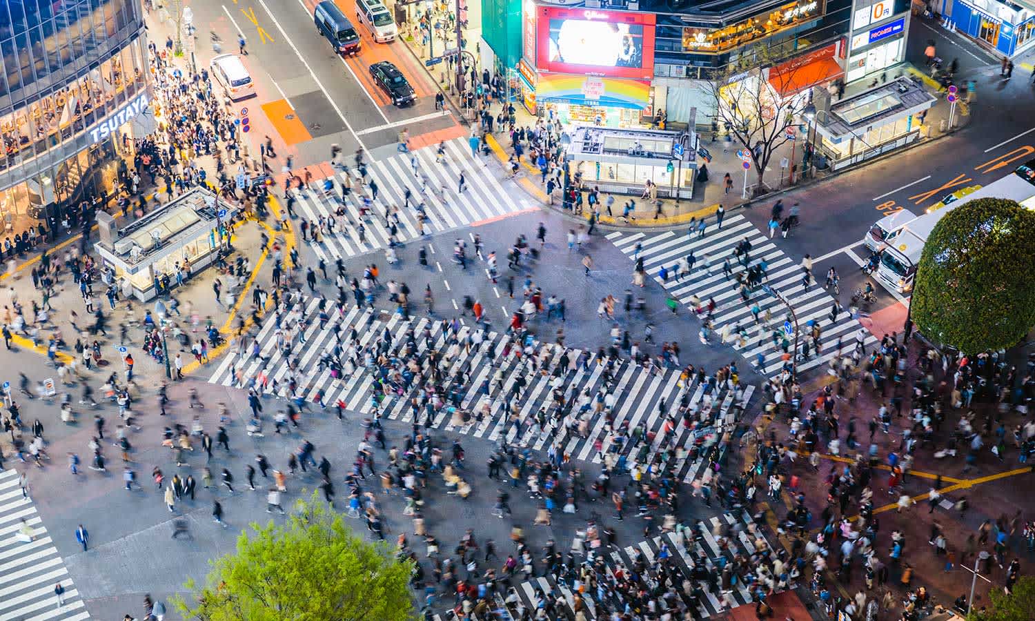 Shibuya-crossing