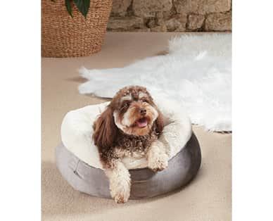 aldi pet bed