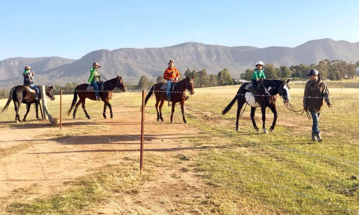 hunter-valley-horse