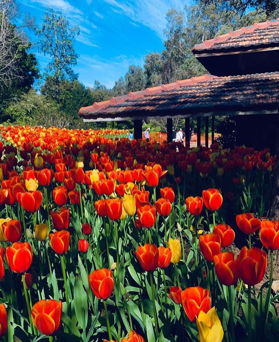 Araluen Botanic Park