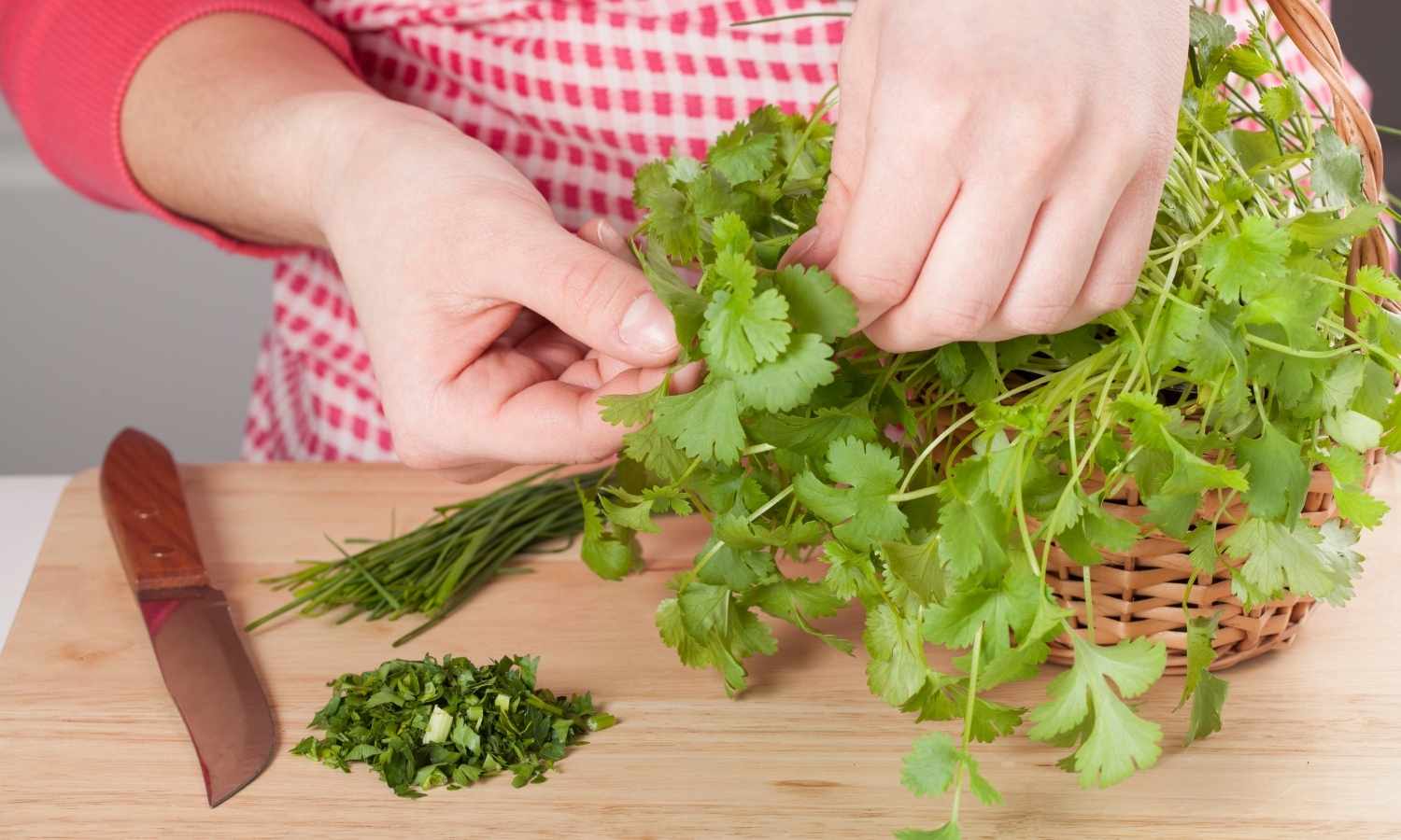 Herb cuttings