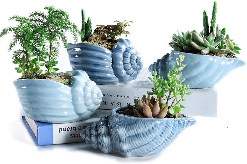 Shell plant pot