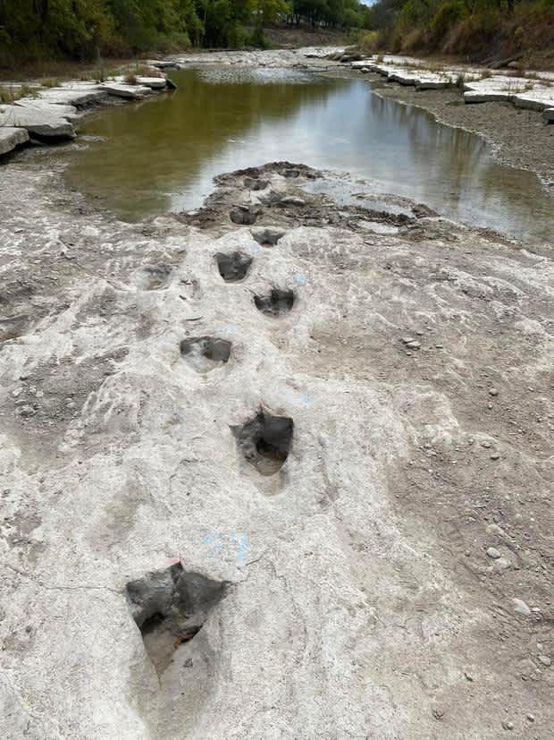 dinosaur prints riverbed texas