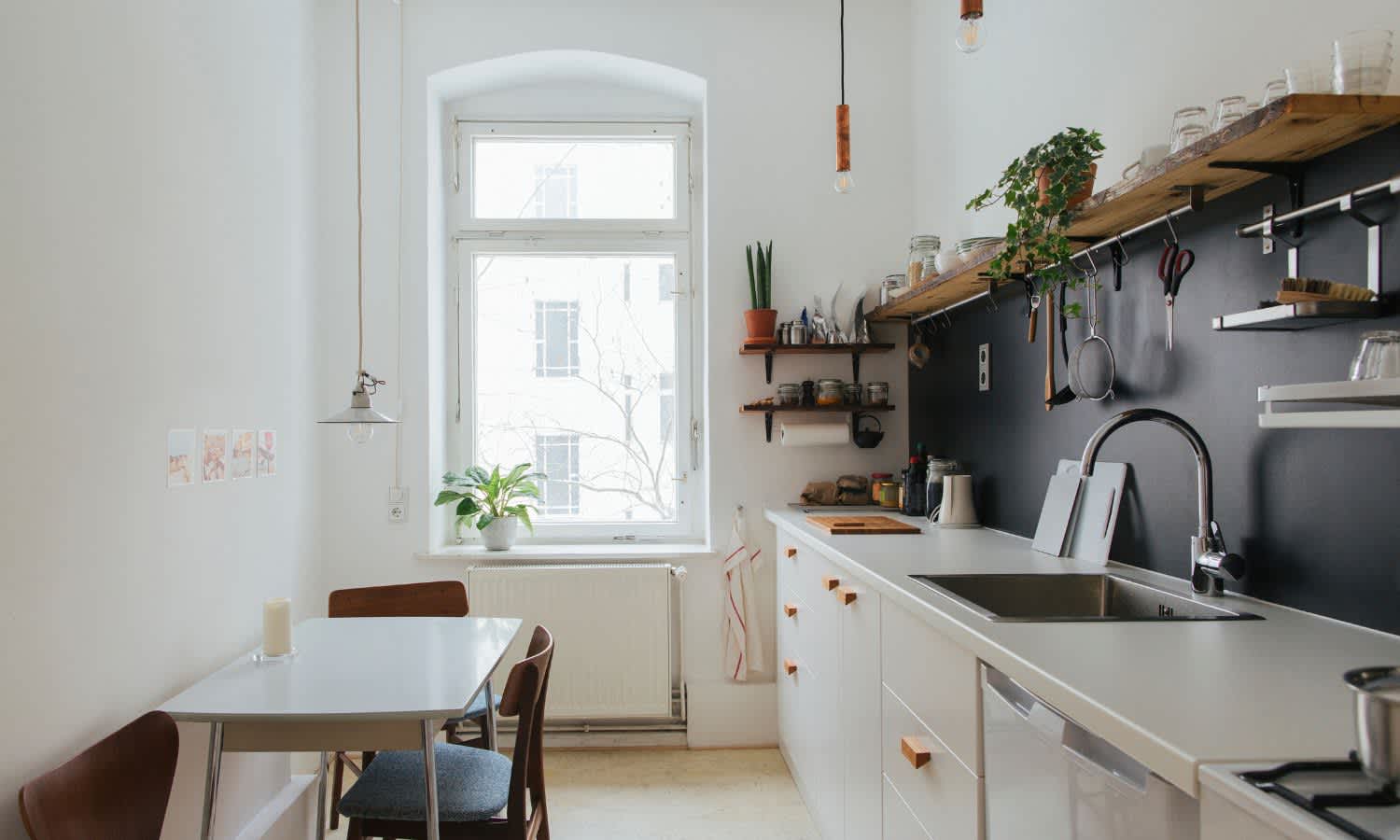 Plants in a home