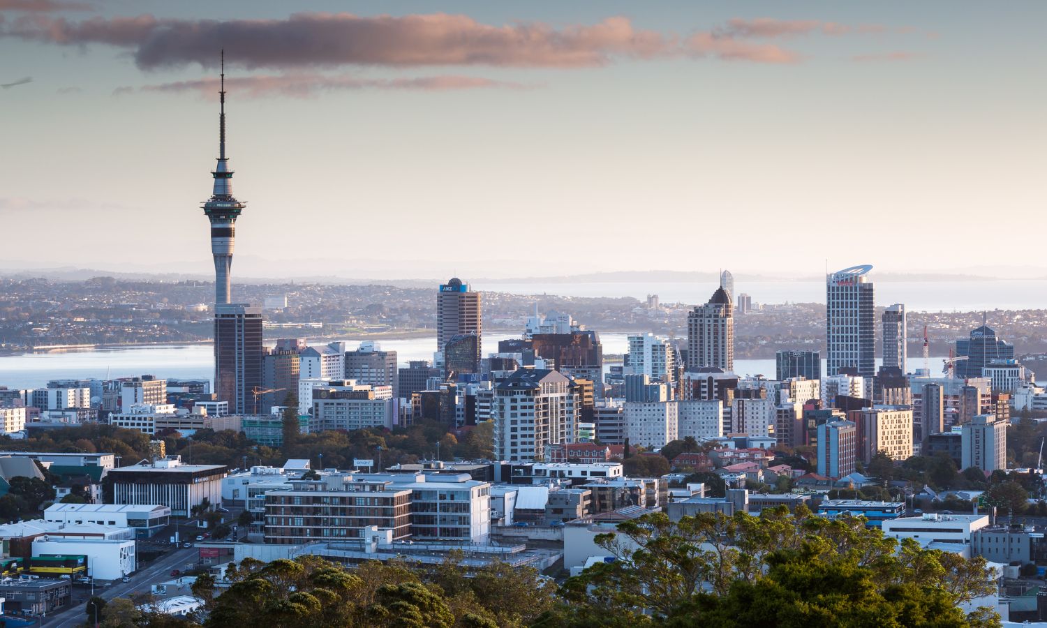 Auckland NZ