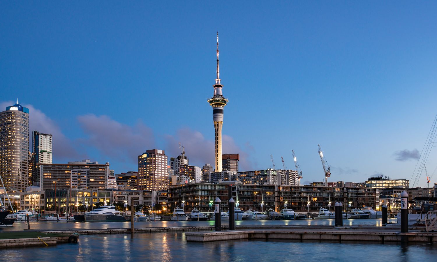 Auckland waterfront