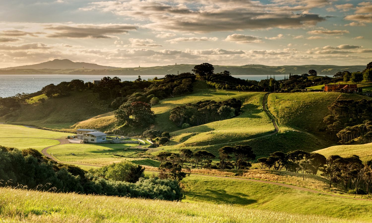 Waiheke Island