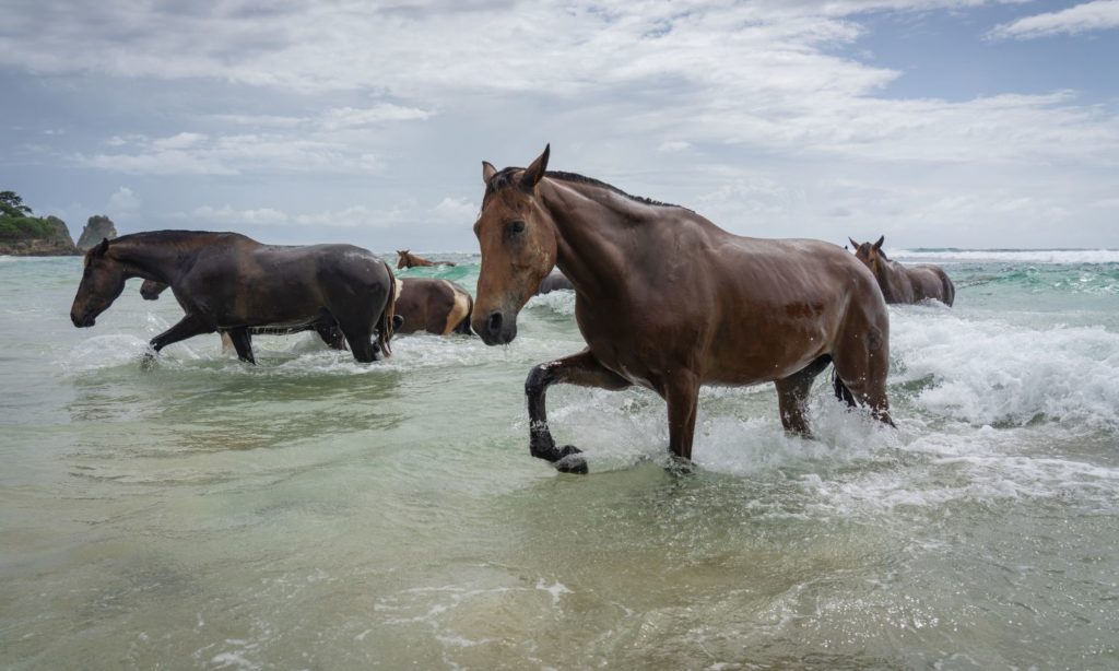 Sumba Indonesia