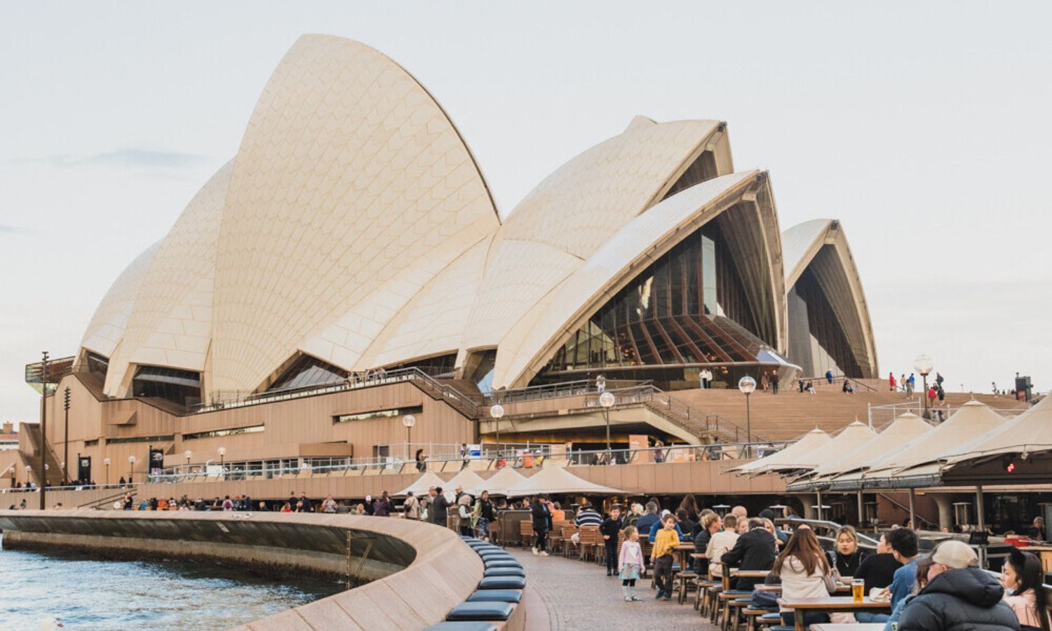 sydney restaurants with a view vivid