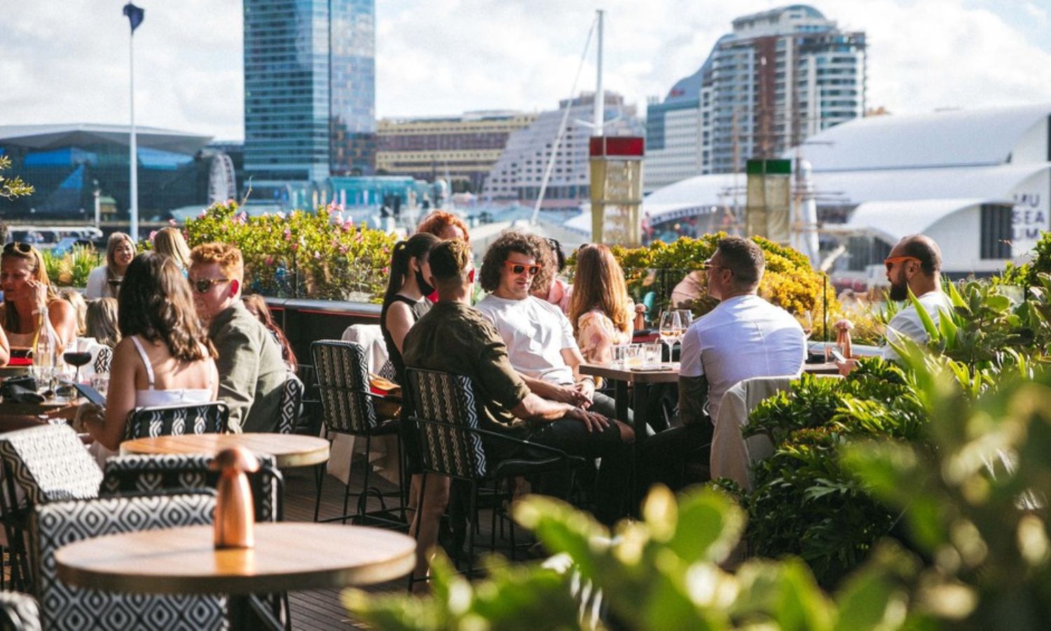 sydney restaurants with a view vivid