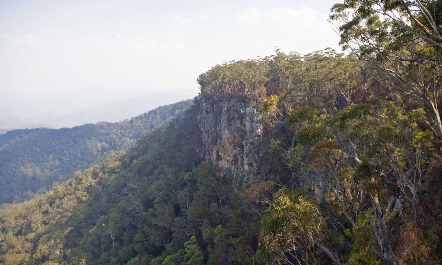 best national parks qld