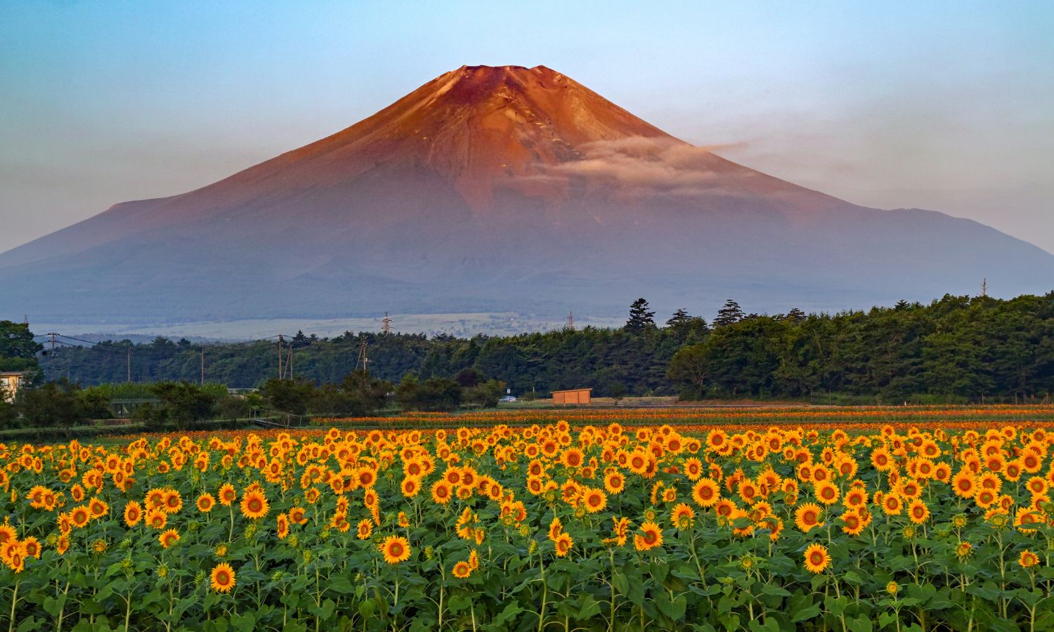 Fuji-Hakone-Izu National Park