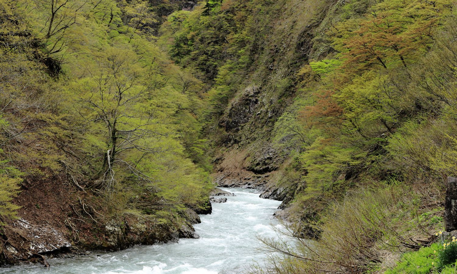 Kiyotsu Gorge