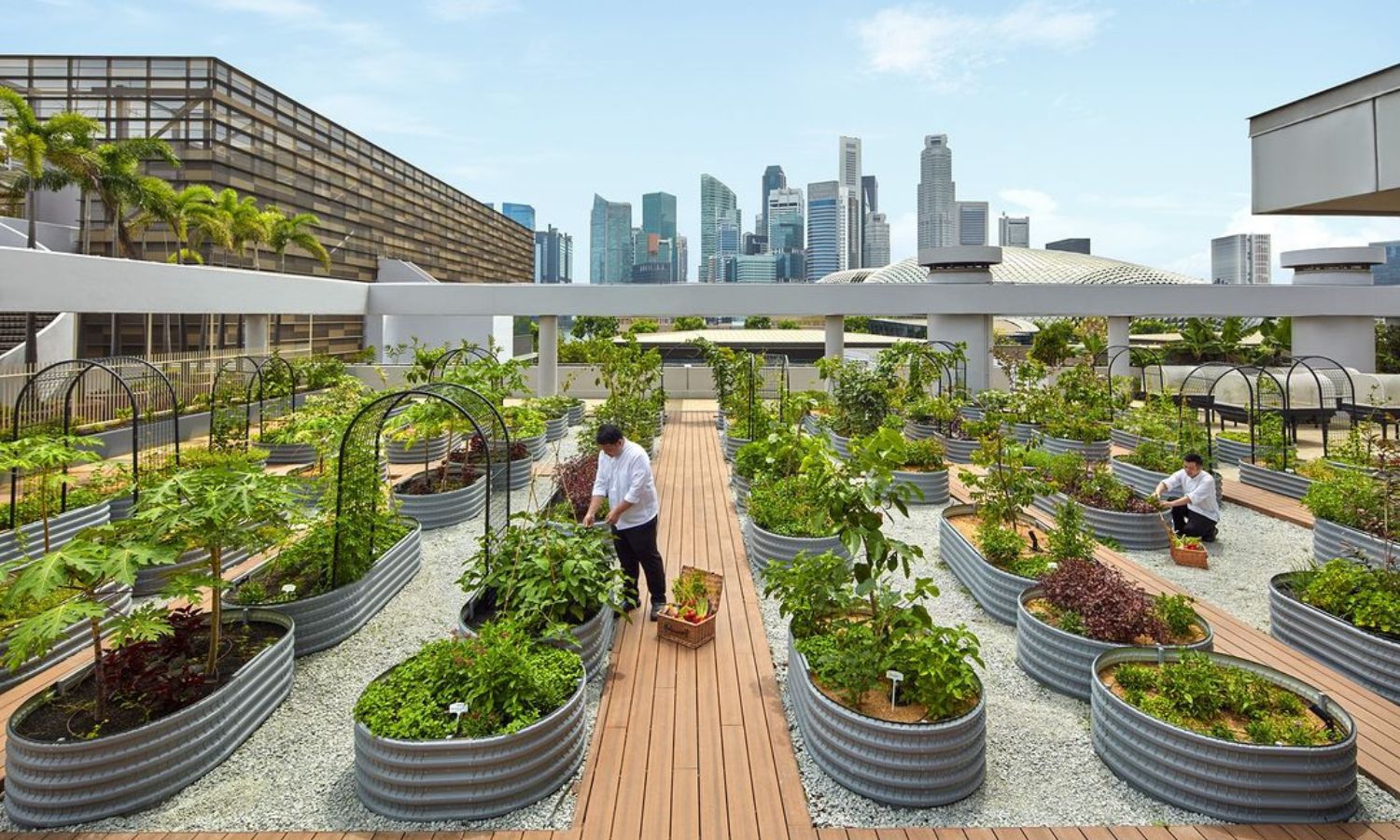 singapore sustainable city