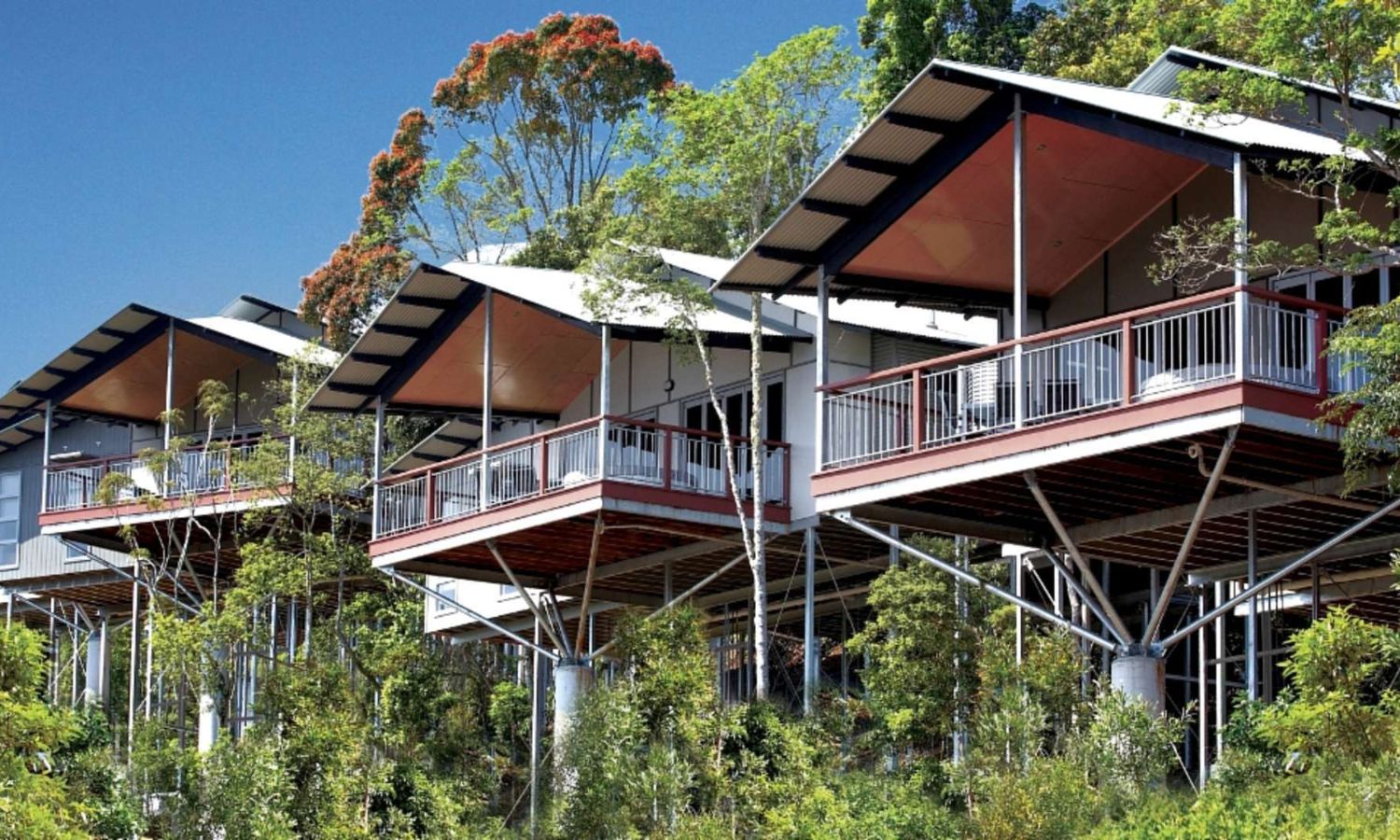 best accommodation lamington national park 