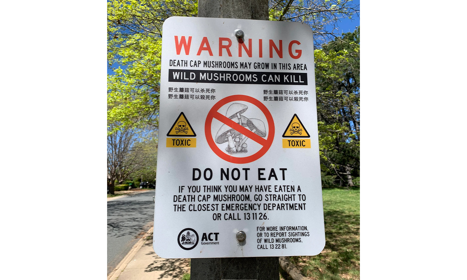 A warning about death cap mushrooms in the ACT, Australia