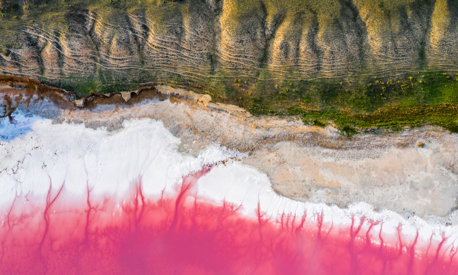 pink lake australia