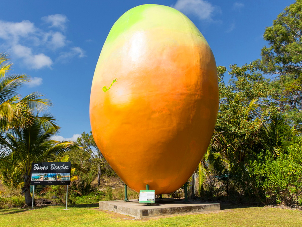 The Big Mango