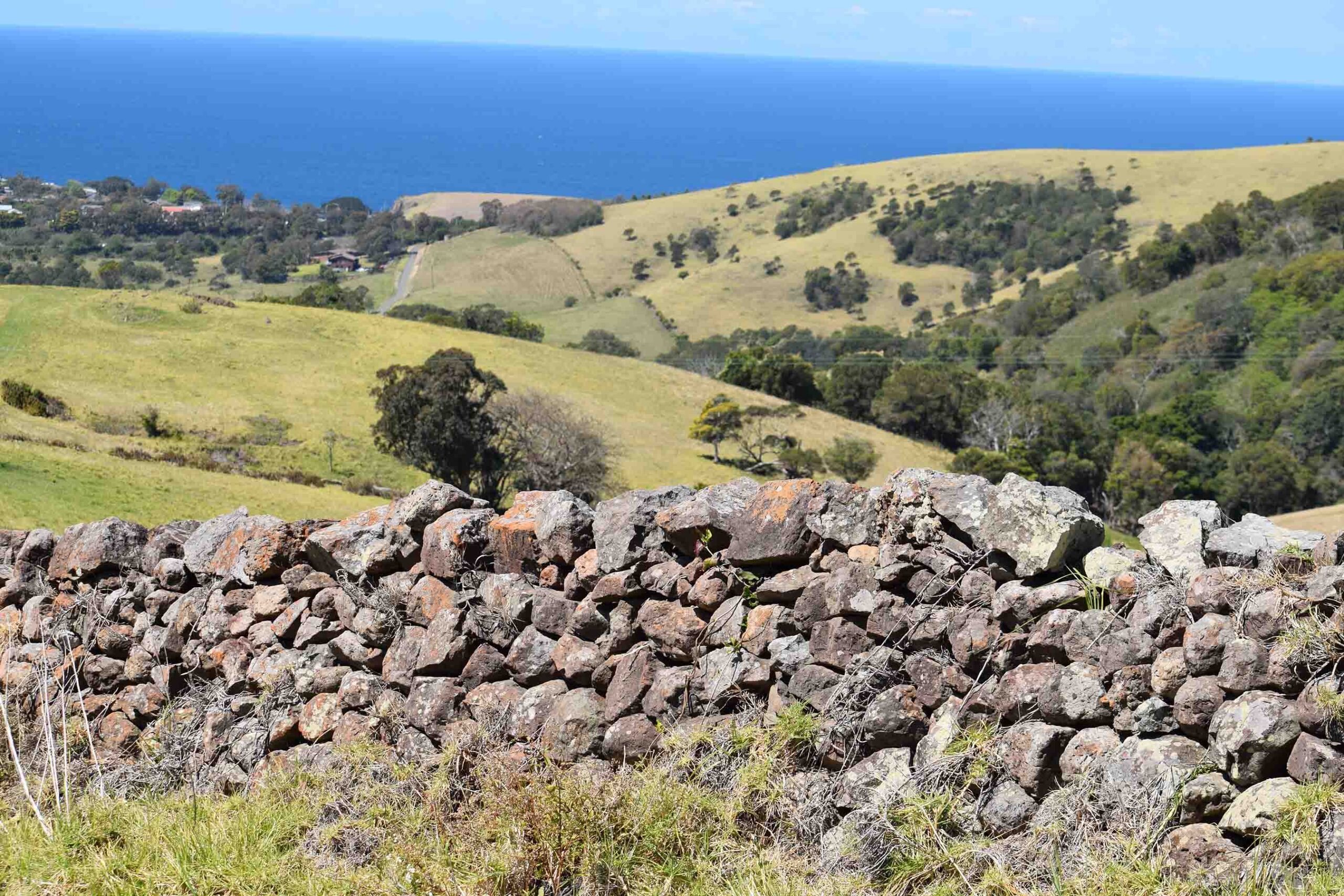 A hill in Kiama.