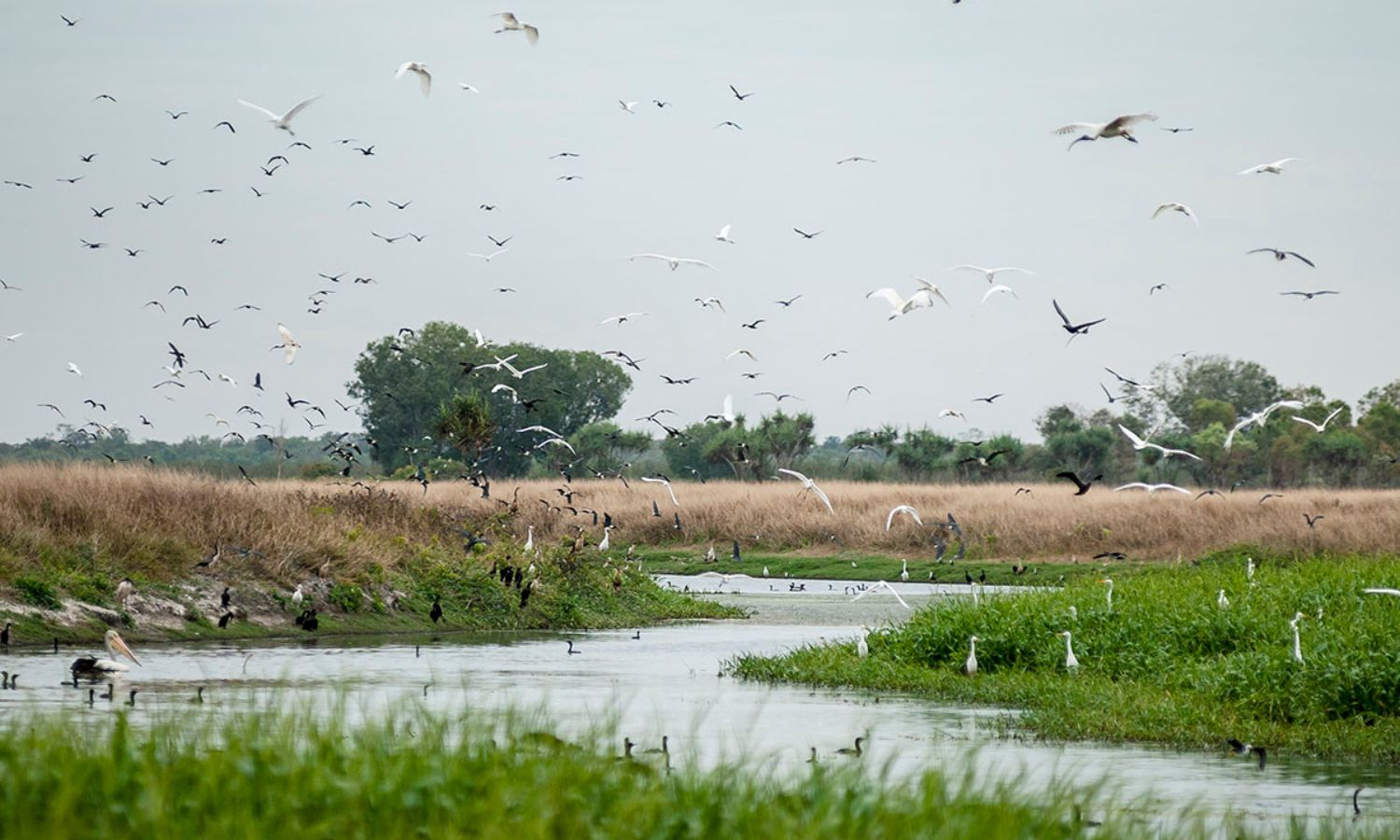 best national parks nt 