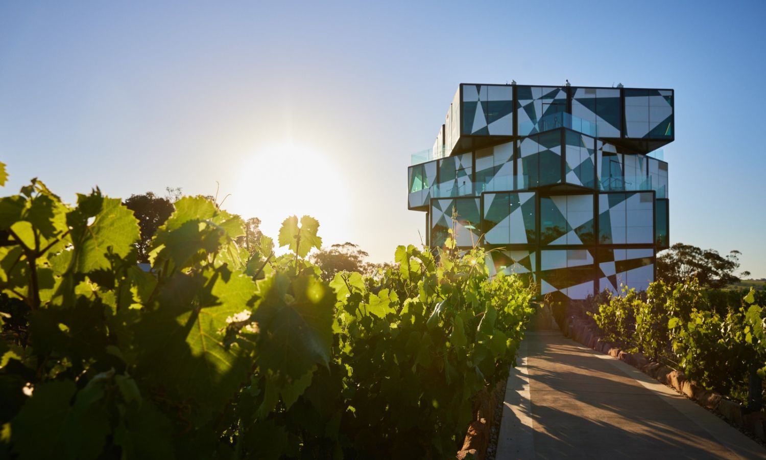 best wineries mclaren vale