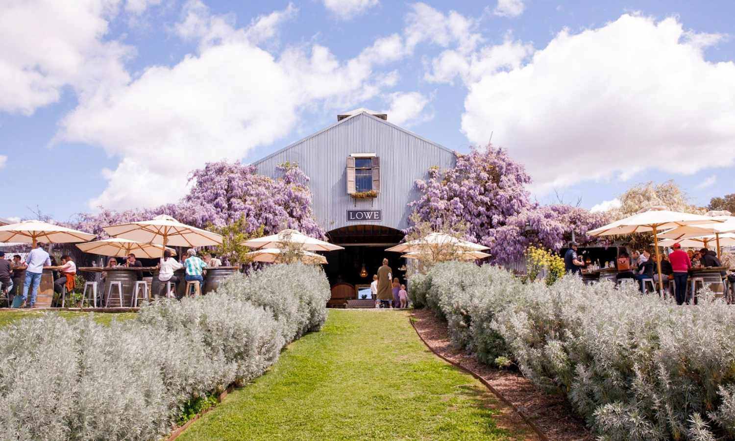 best wineries mudgee