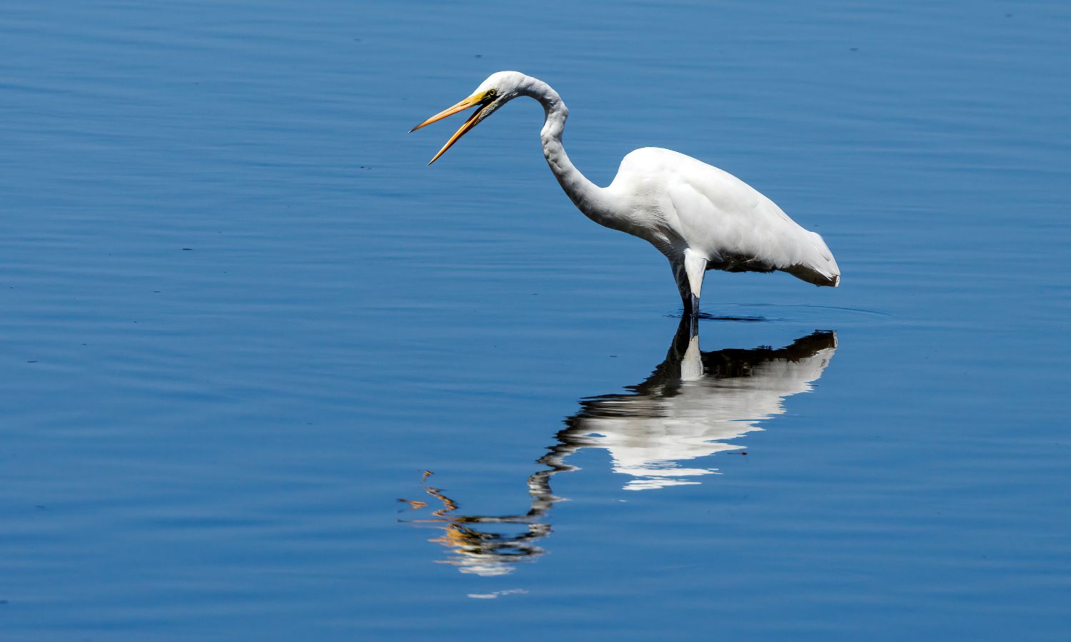 what to do in broome 