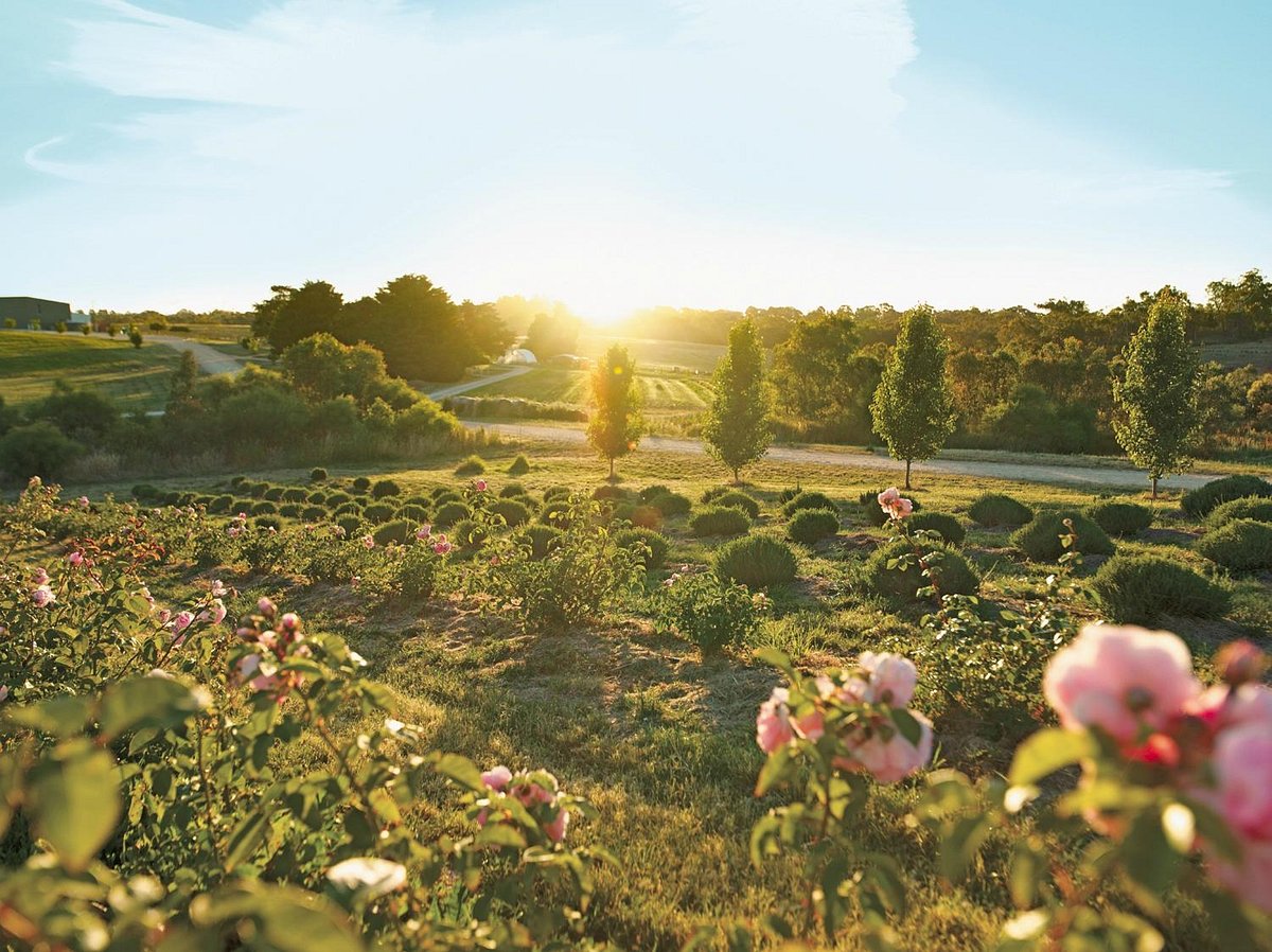 Jurlique Farm Tour