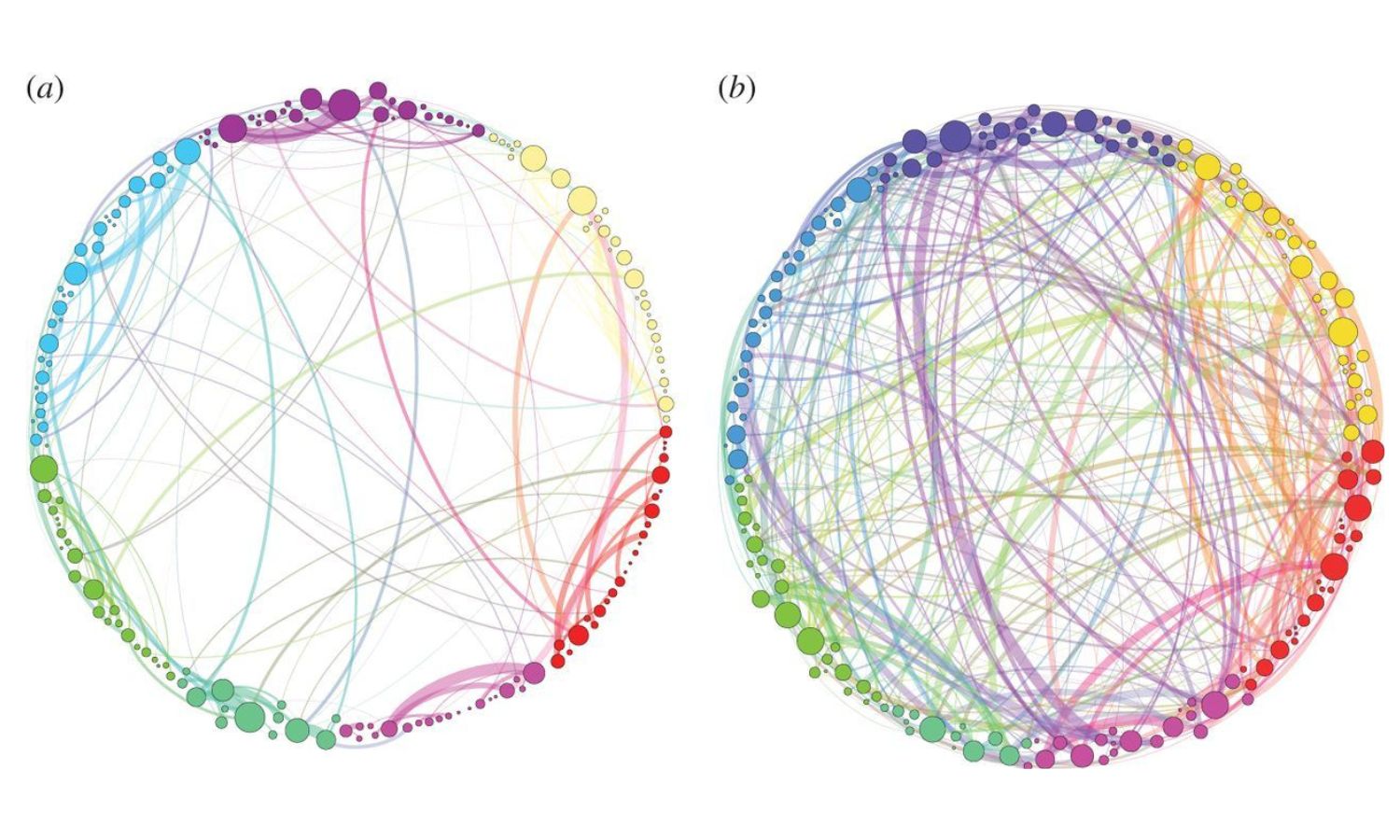 An image showing how psychedelic therapy works in Australia