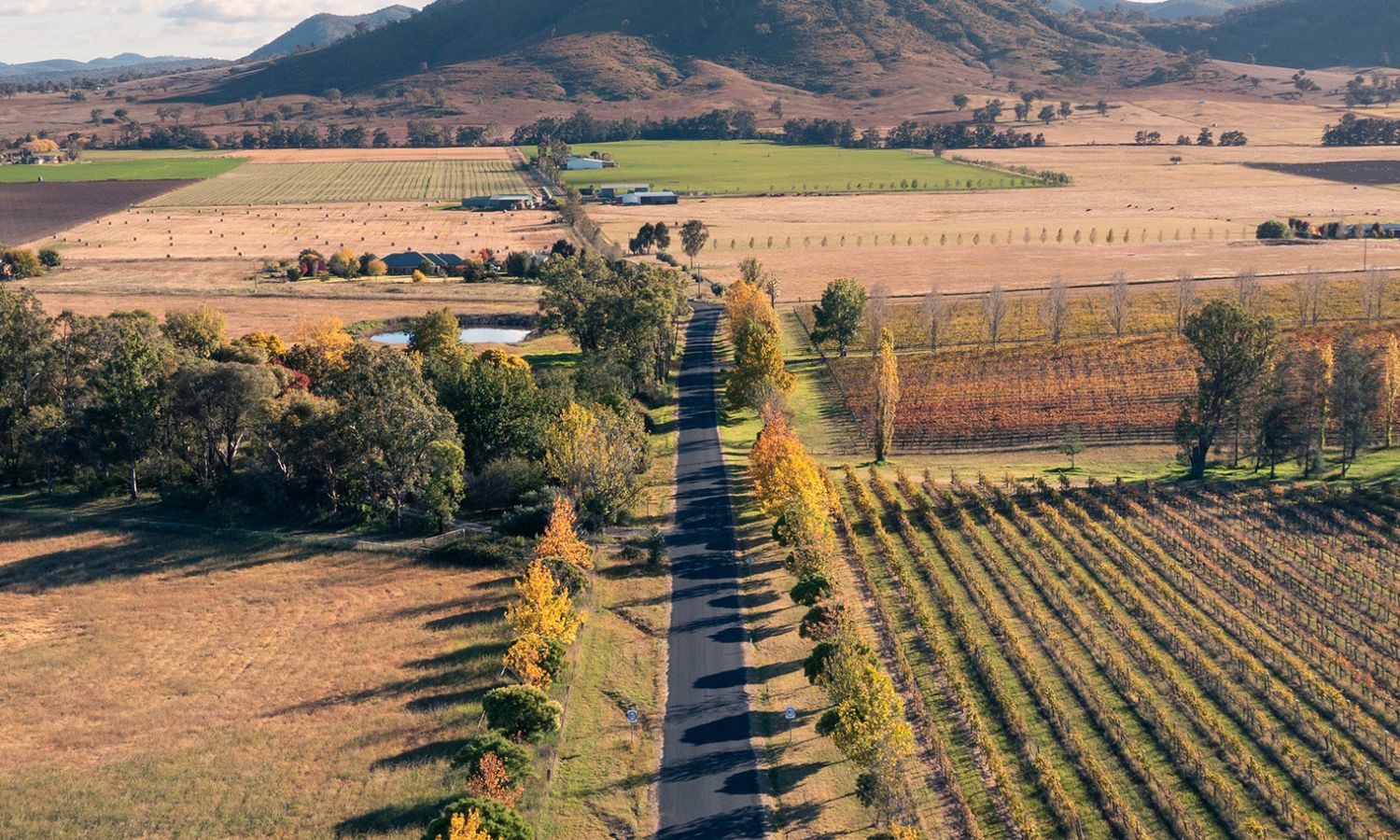 best road trips nsw