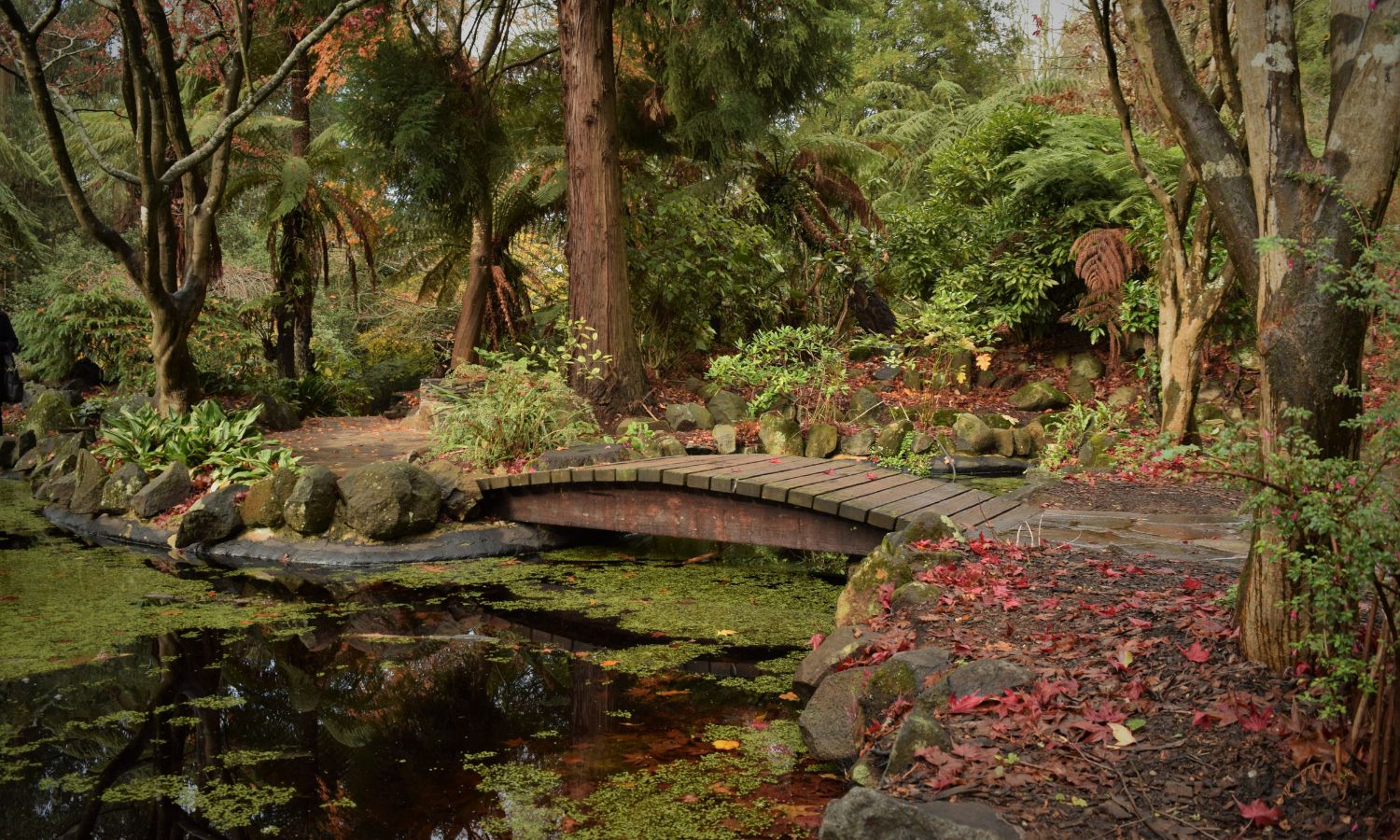 Dandenong Ranges Tourist Track