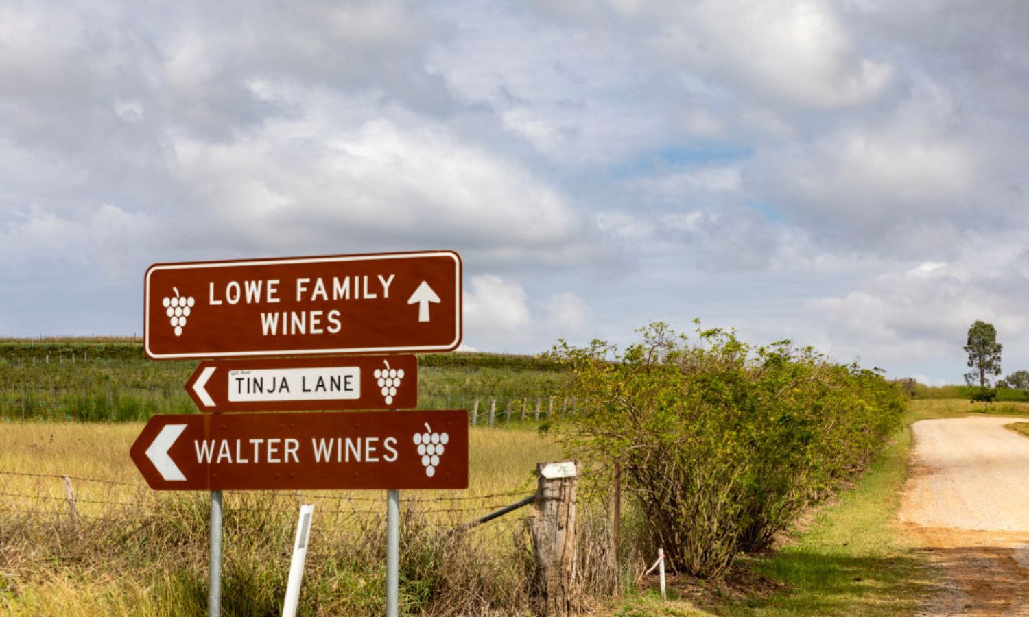 An image showing wine production in australia