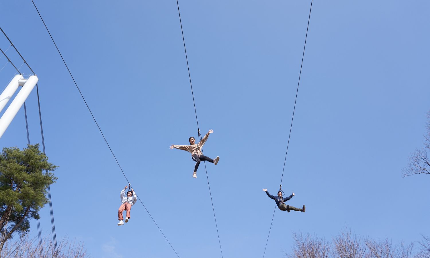 Skywalk Through Forest at Mishima