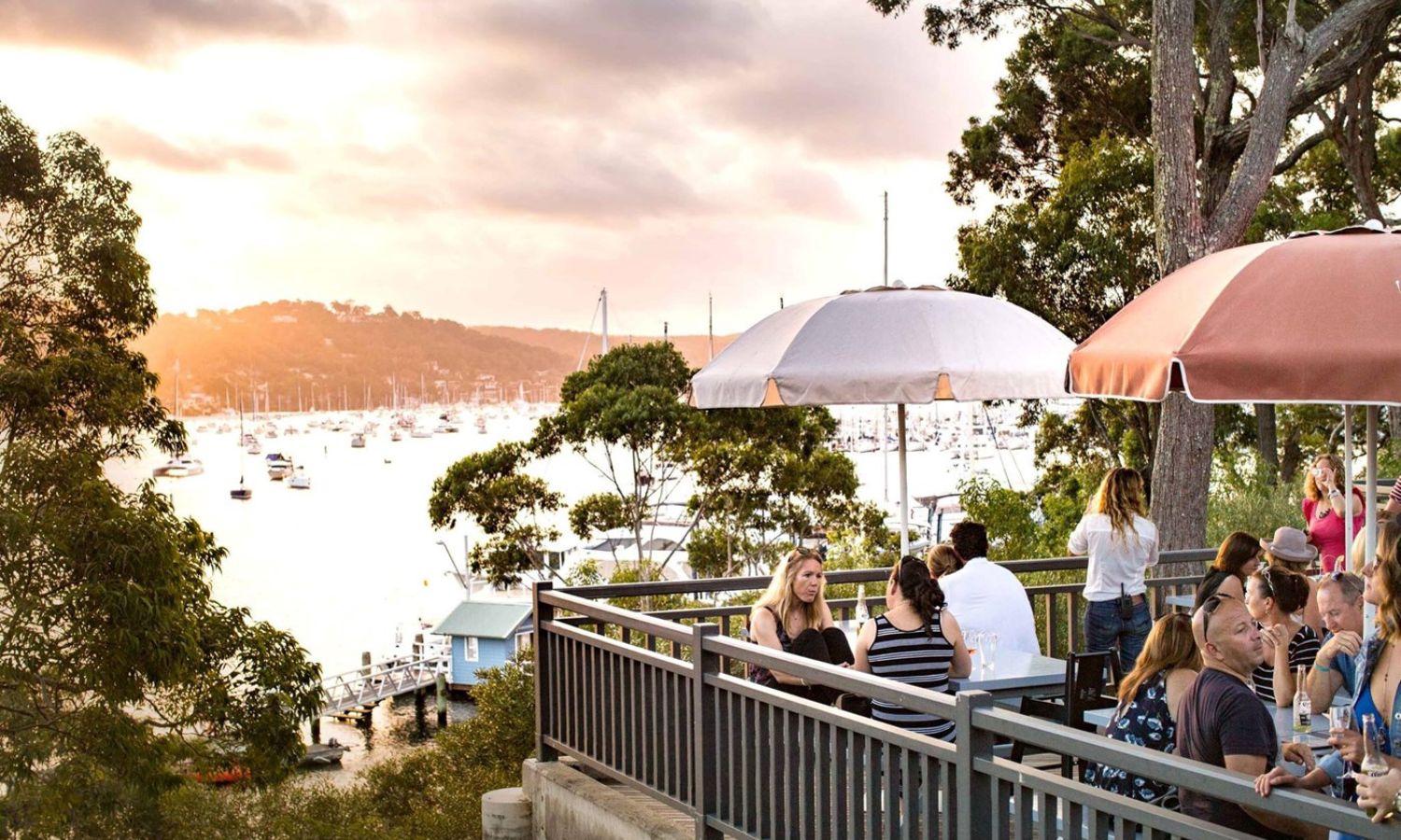 best fish and chips sydney