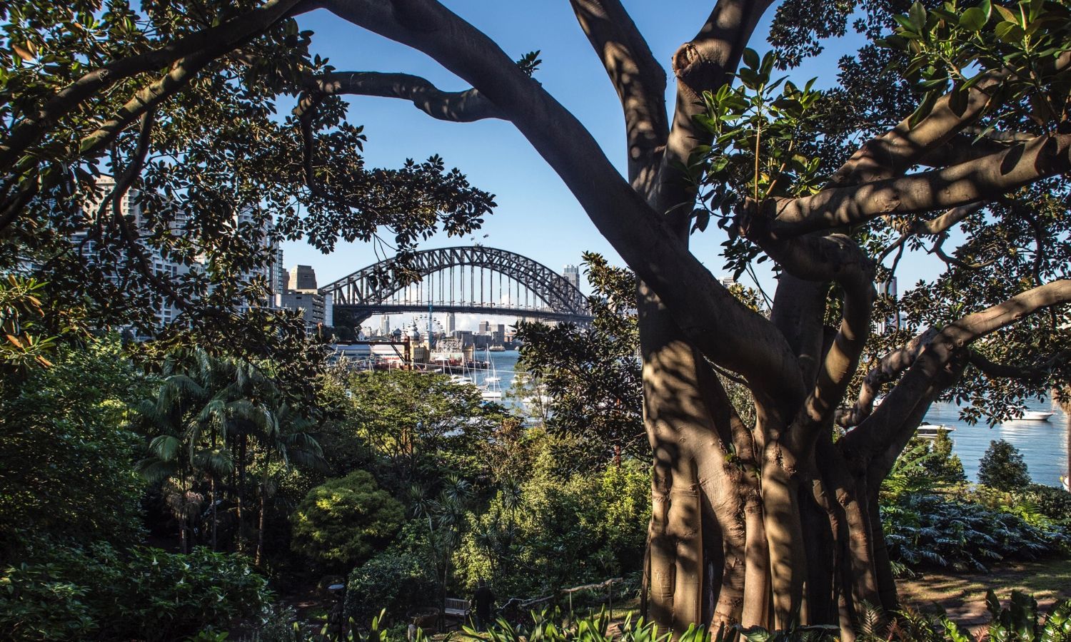 best parks sydney