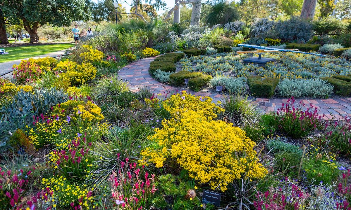 where to see spring flowers perth 