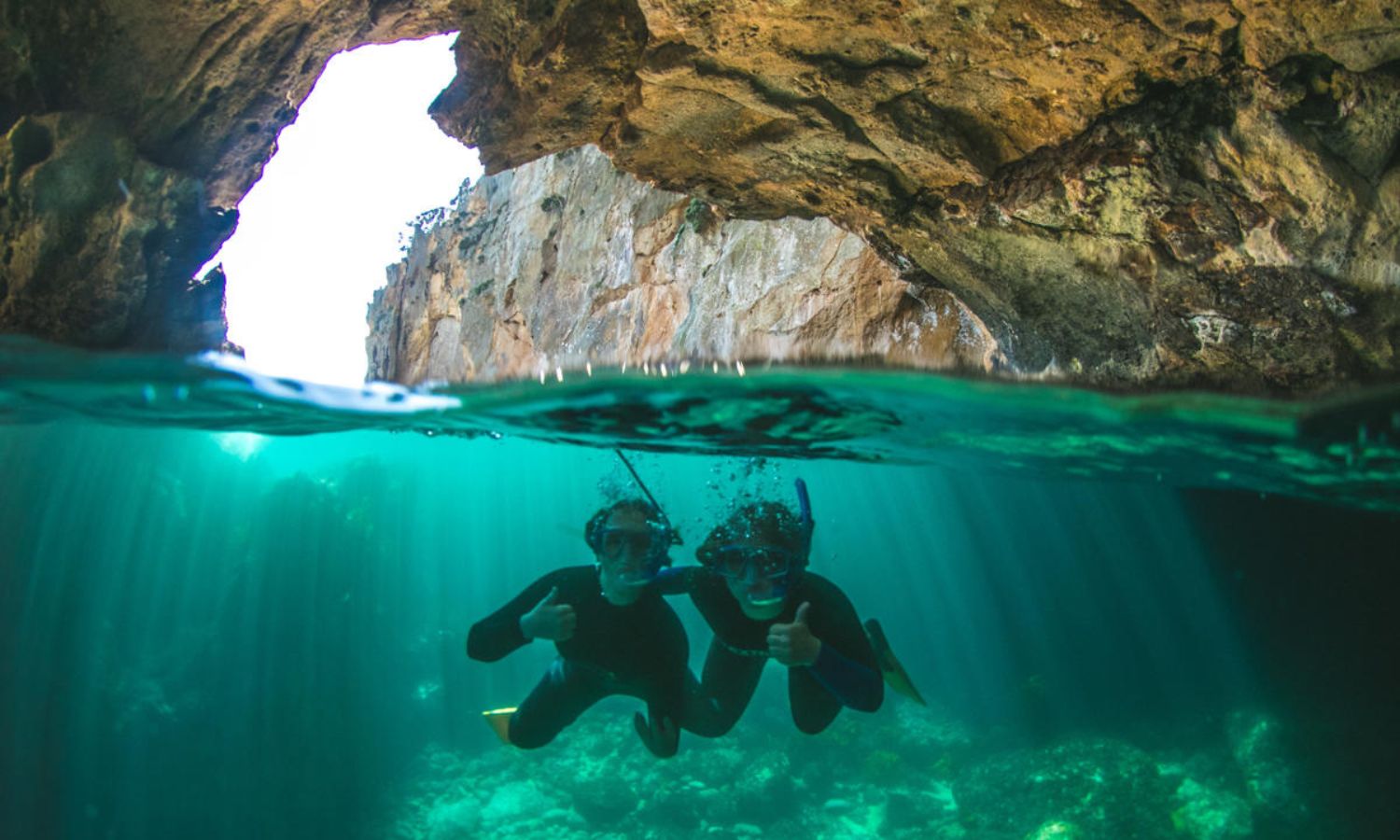 DIVE! TUTUKAKA water activities in New Zealand