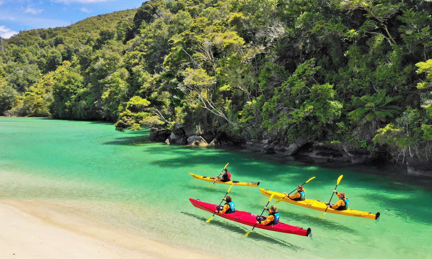 best national parks nz 