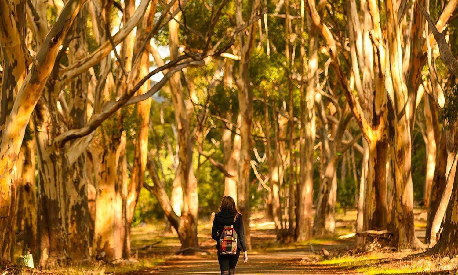 best walks adelaide 