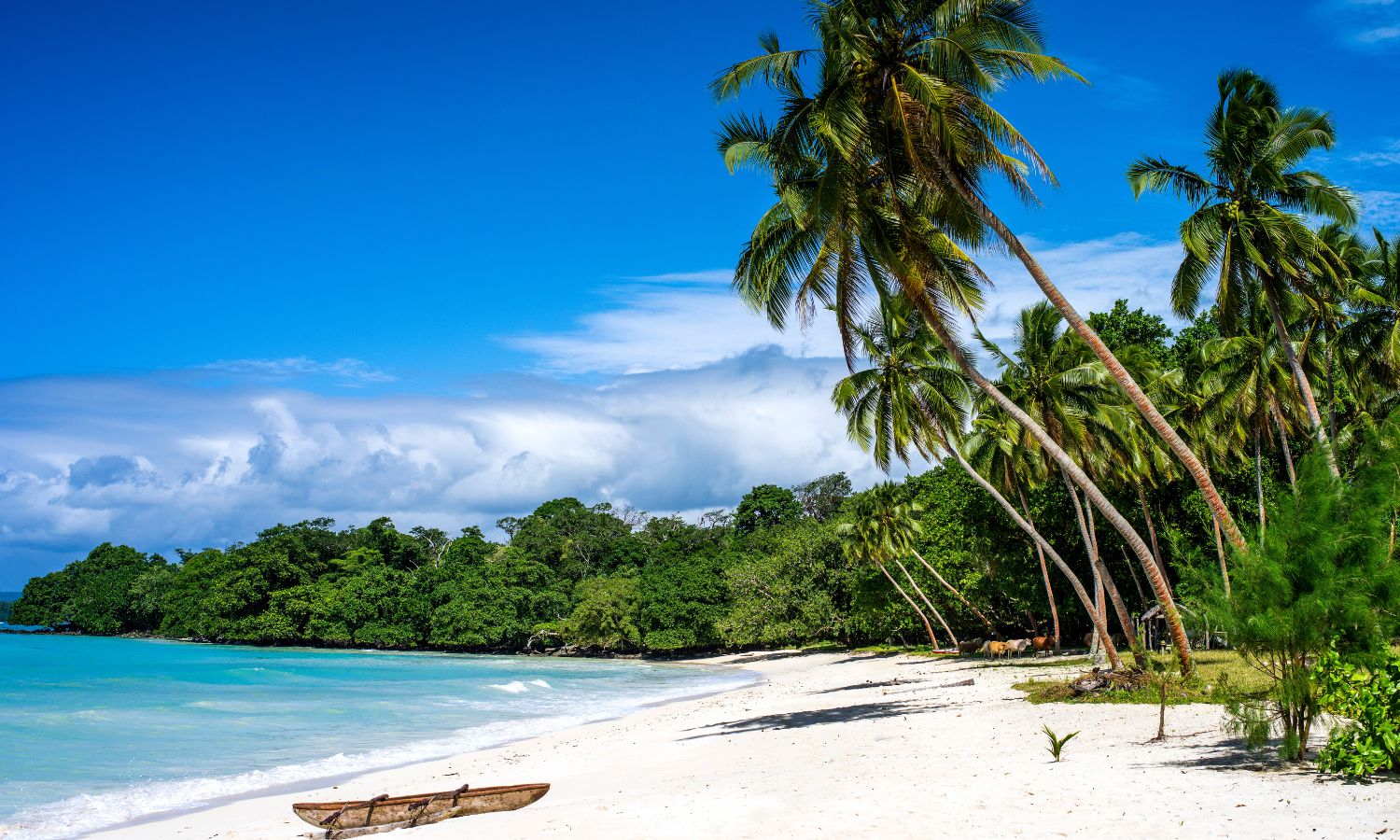 Port Olry Vanuatu Santo