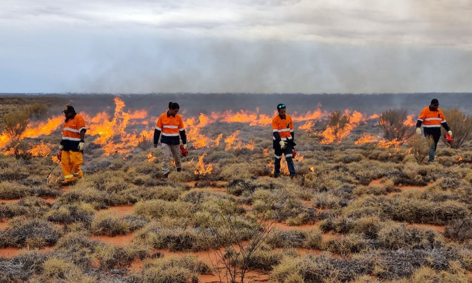 An image showing indigenous rangers in australia who may be empowere further by the voice to parliament