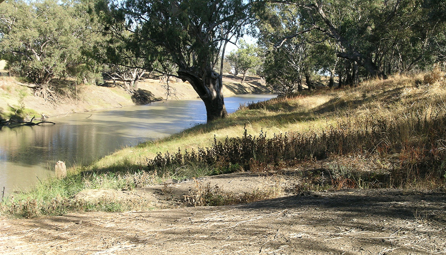 Barwon River near Walgett