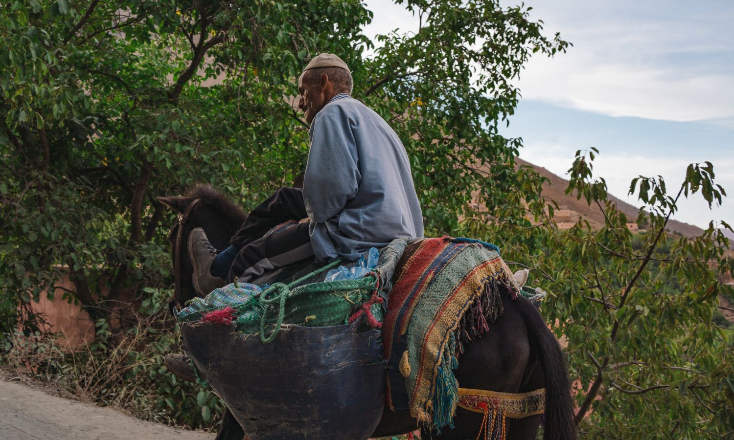 high atlas mountains 