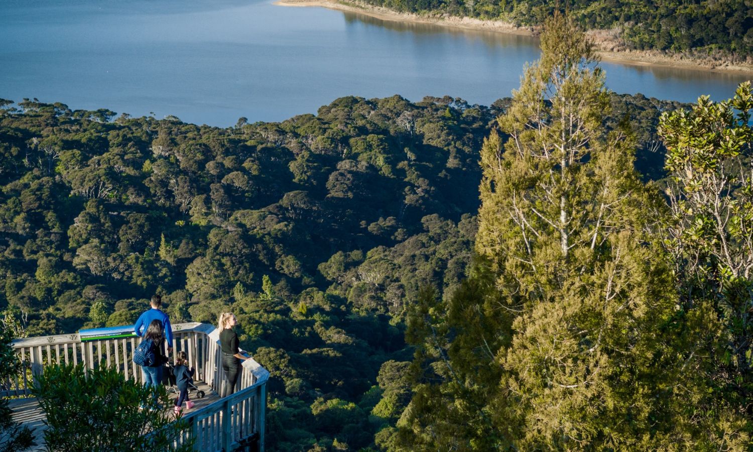 Waitakere Ranges