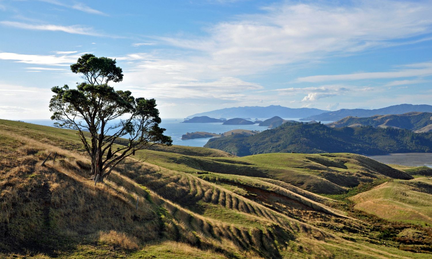 Coromandel New Zealand