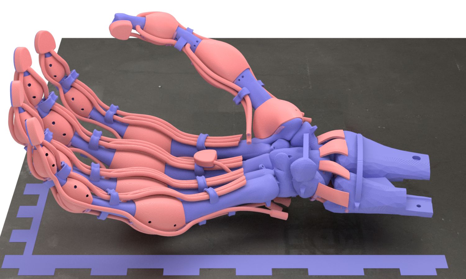 A model of a 3d printed prosthetic hand