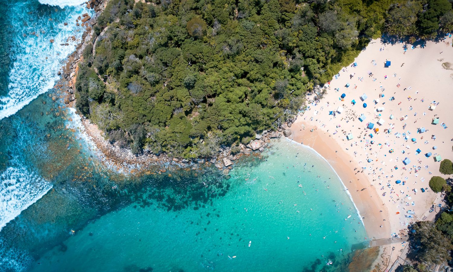 Shelly Beach Sydney beaches