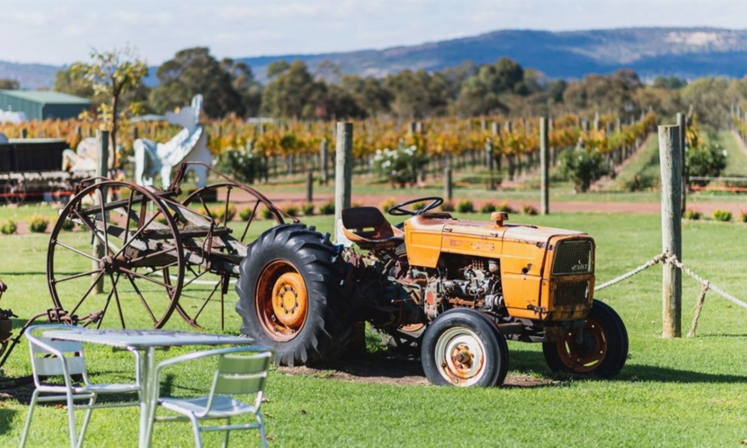 best wineries swan valley