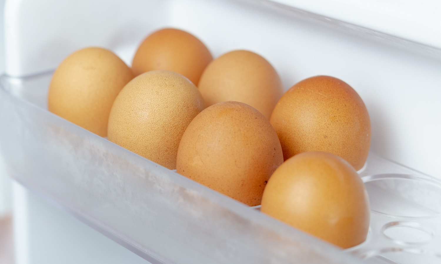 eggs in the fridge door